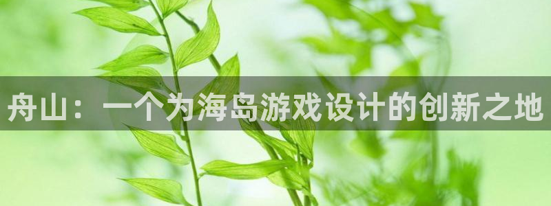 摩根娱乐平台：舟山：一个为海岛游戏设计的创新之地