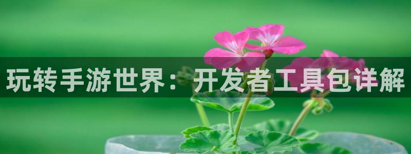 摩根娱乐是正规合法的吗安全吗：玩转手游世界：开发者工具包详解