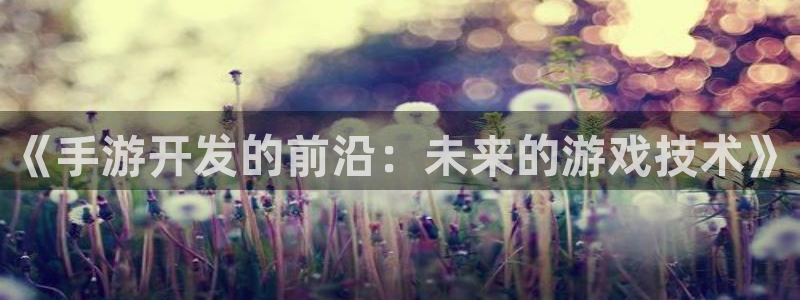 摩根娱乐这个平台怎么样啊赚钱吗：《手游开发的前沿：未来的游戏