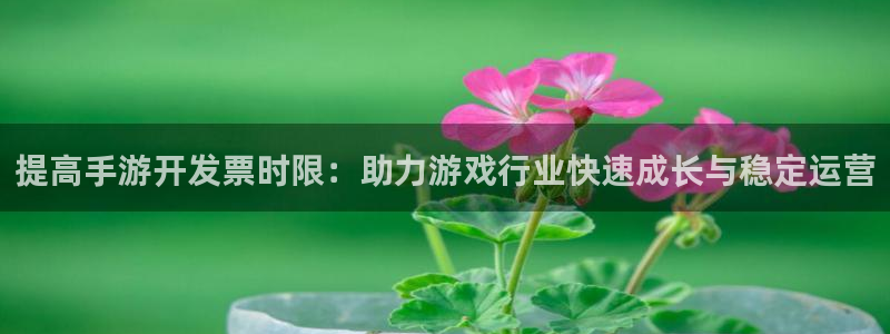 摩根娱乐注册：提高手游开发票时限：助力游戏行业快速成长与稳定